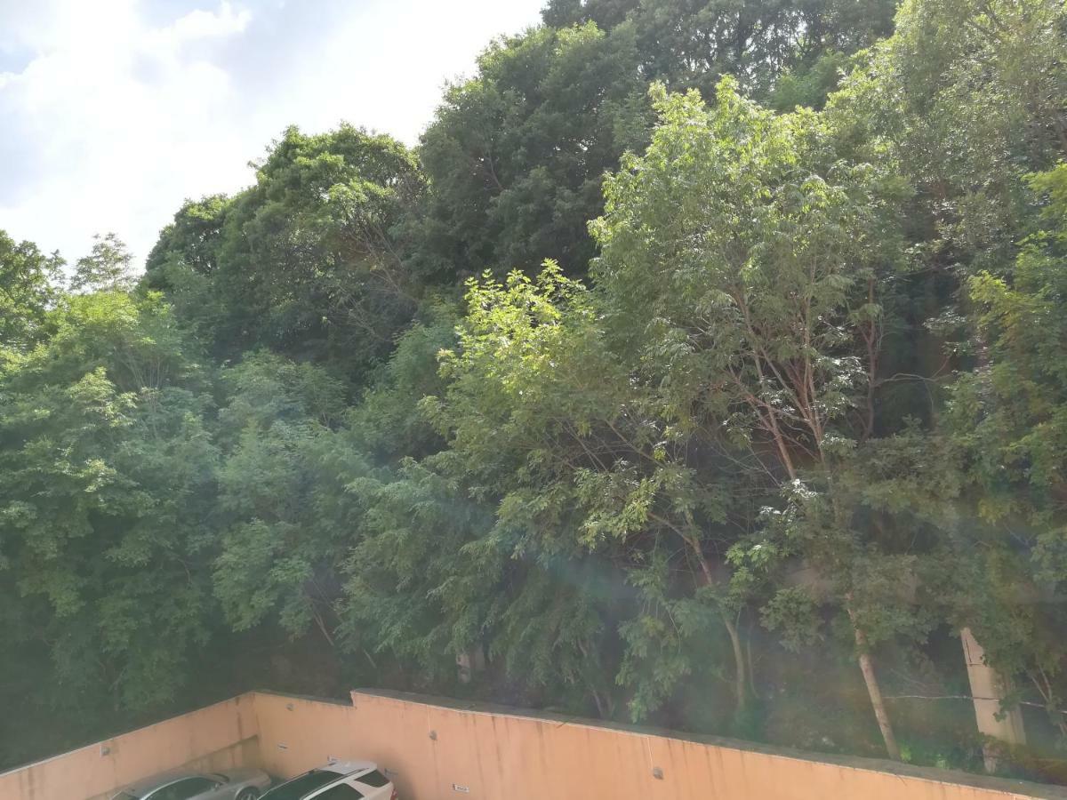 Sunrise Complex Apartments 金沙 外观 照片